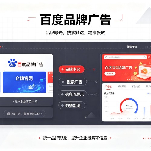 宝丰百度品牌广告